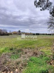 Οικόπεδο 8.000 τ.μ. πρός πώληση, Ν. Ηλείας, Πύργος-thumb-4