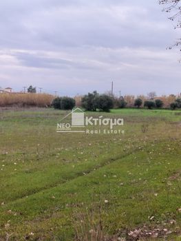 Οικόπεδο 8.000 τ.μ. για πώληση