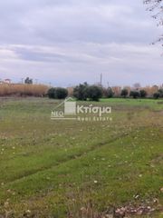 Οικόπεδο 8.000 τ.μ. για πώληση