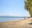 Αγροτεμάχια 2.190τ.μ. για πώληση-Ληλάντιο » Βασιλικό