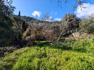 Οικόπεδο 442 τ.μ. για πώληση, Ν. Λευκάδας, Λευκάδα-thumb-6