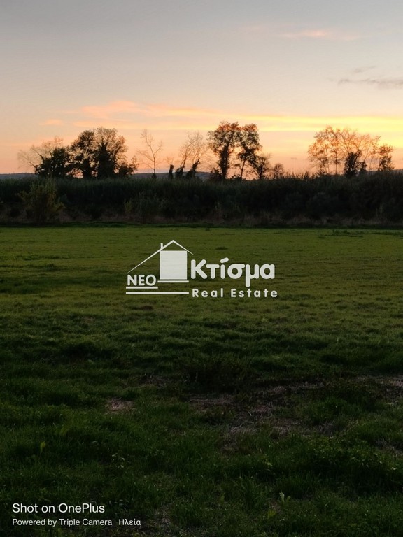 Αγροτεμάχια 6.831 τ.μ. προς πώληση, Βυτιναίικα Πύργου
