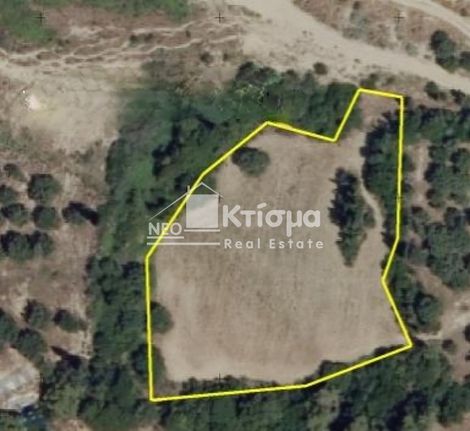 Αγροτεμάχια 5.821 τ.μ. για πώληση, Ν. Ηλείας, Ζαχάρω