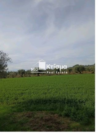Αγροτεμάχια 3.266 τ.μ. για πώληση, Ν. Ηλείας, Αρχαία Ολυμπία