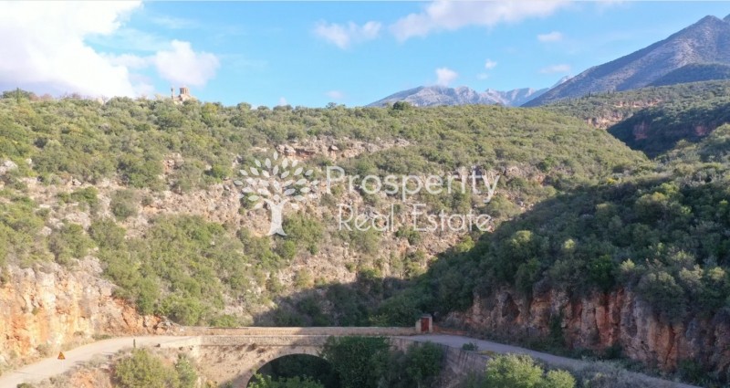 Αγροτεμάχια 11.719 τ.μ. πρός πώληση, Μεσσηνία, Λεύκτρος