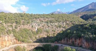 Αγροτεμάχια 11.719 τ.μ. για πώληση, Μεσσηνία, Λεύκτρος-thumb-1