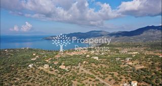 Αγροτεμάχια 11.719 τ.μ. για πώληση