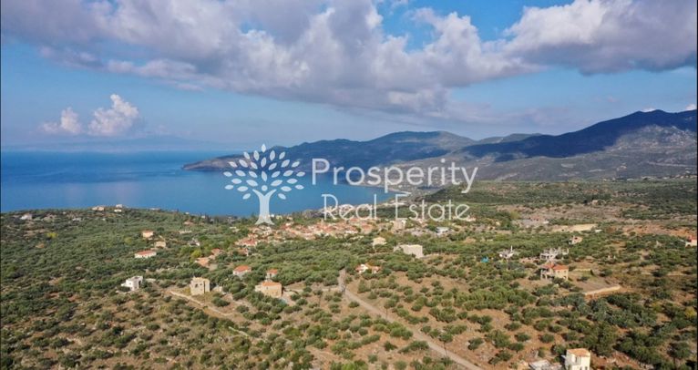 Αγροτεμάχια 11.719 τ.μ. για πώληση, Μεσσηνία, Λεύκτρος
