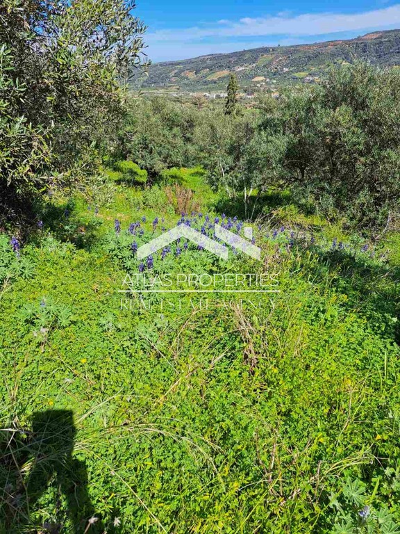 Οικόπεδο 1.442 τ.μ. προς πώληση, Κέντρο Βουκολιών