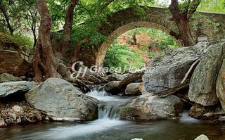 Οικόπεδο 15.222 τ.μ. για πώληση, Εύβοια, Κάρυστος-thumb-10