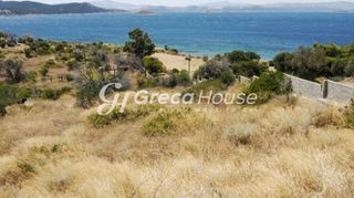 Οικόπεδο 21.000 τ.μ. για πώληση, Εύβοια, Στύρα-thumb-6
