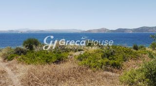 Οικόπεδο 21.000 τ.μ. για πώληση, Εύβοια, Στύρα-thumb-9