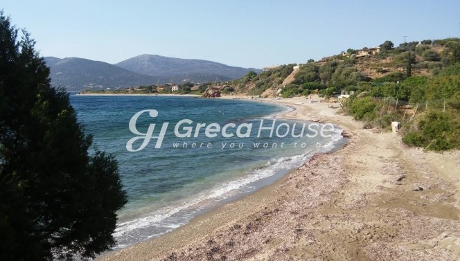 Οικόπεδο 21.000 τ.μ. για πώληση, Εύβοια, Στύρα