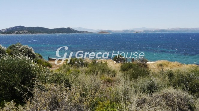 Οικόπεδο 21.000 τ.μ. πρός πώληση, Εύβοια, Στύρα