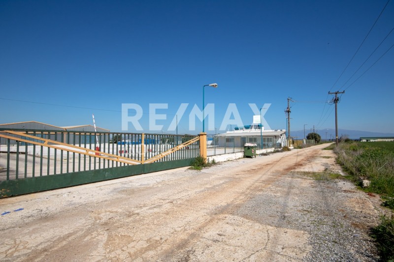 Βιομηχανικός χώρος 5.173 τ.μ. προς πώληση, Νέος Πλάτανος