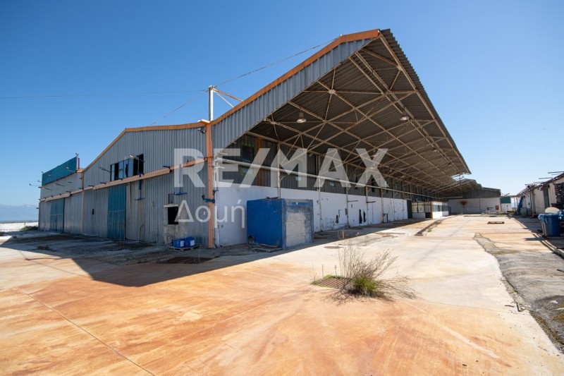 Βιομηχανικός χώρος 5.173 τ.μ. προς πώληση, Νέος Πλάτανος