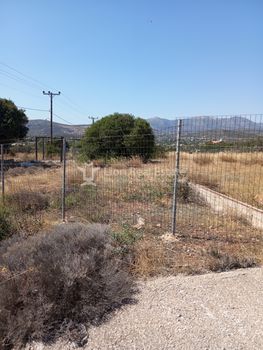 Οικόπεδο 6.000τ.μ. για πώληση-Κορωπί » Αγία μαρίνα