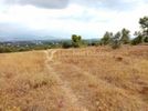 Οικόπεδο 4.200τ.μ. για πώληση-Κορωπί » Κέντρο