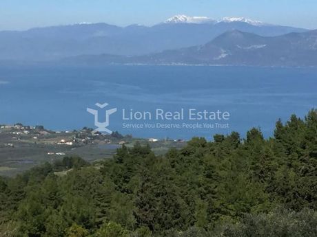 Μεζονέτα 340 τ.μ. για πώληση