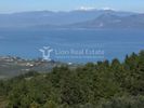Μεζονέτα 340τ.μ. για πώληση-Δαφνούσες » Αρκίτσα