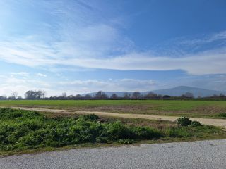 Αγροτεμάχια 10.000 τ.μ. πρός πώληση, Ν. Τρικάλων, Οιχαλίας-thumb-1