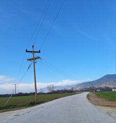 Αγροτεμάχια 10.000 τ.μ. πρός πώληση, Ν. Τρικάλων, Οιχαλίας-thumb-2