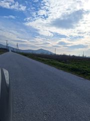Αγροτεμάχια 10.000 τ.μ. πρός πώληση, Ν. Τρικάλων, Οιχαλίας-thumb-3