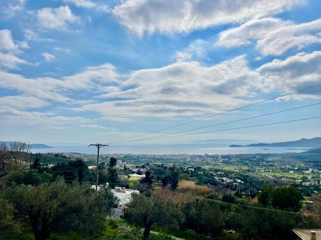 Οικόπεδο 35.000τ.μ. για πώληση-Κάρυστος