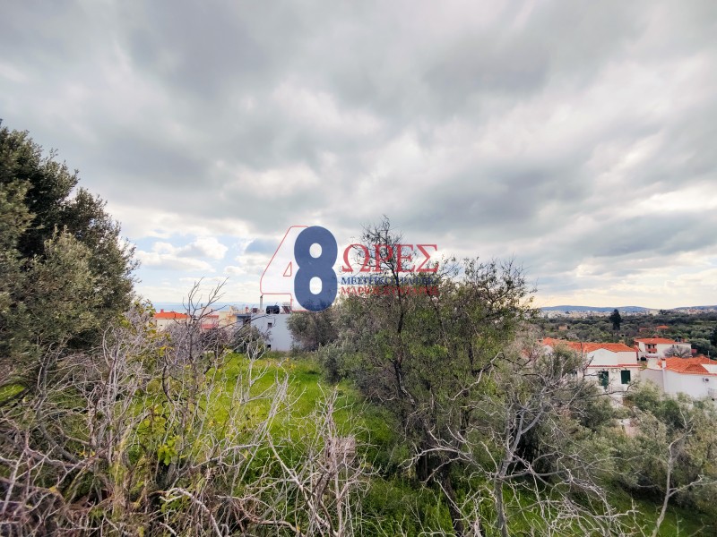 Οικόπεδο 2.808,29 τ.μ. προς πώληση, Ομηρούπολη