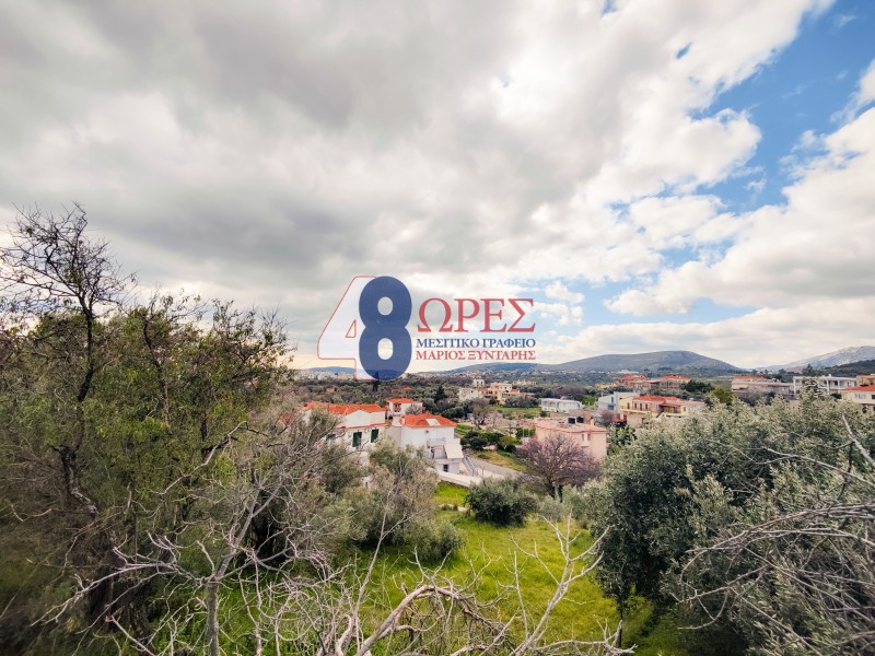 Οικόπεδο 2.808,29 τ.μ. προς πώληση, Ομηρούπολη
