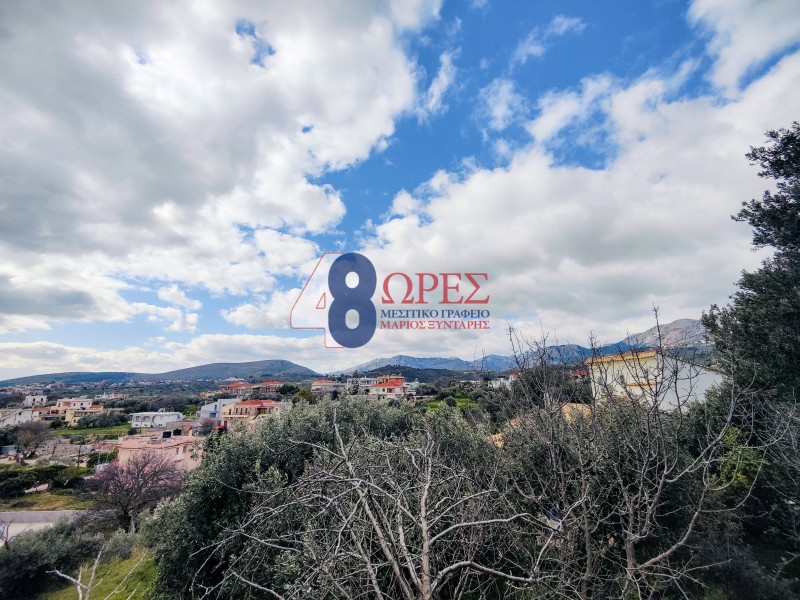 Οικόπεδο 2.808,29 τ.μ. προς πώληση, Ομηρούπολη