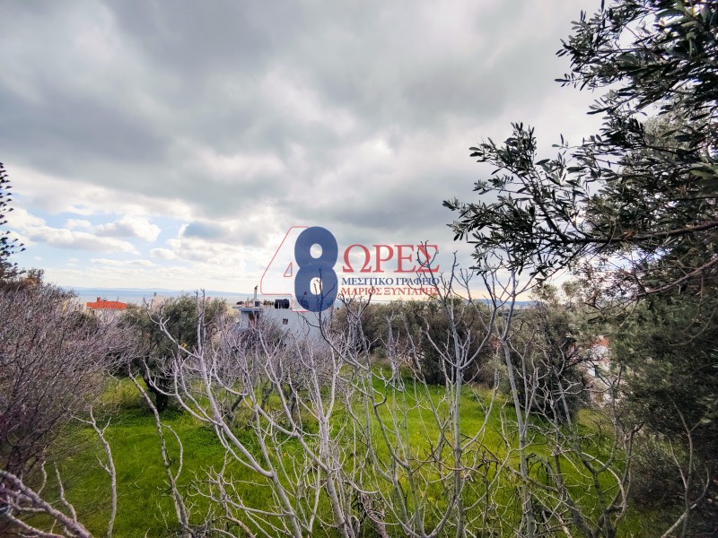 Οικόπεδο 2.808,29 τ.μ. προς πώληση, Ομηρούπολη