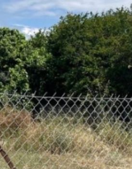 Οικόπεδο 278 τ.μ. για πώληση