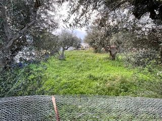 Οικόπεδο 642 τ.μ. για πώληση, Αχαΐα, Ρίο-thumb-1
