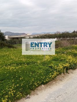 Land plot 1.719sqm for sale-Nea Kidonia » Agia Marina
