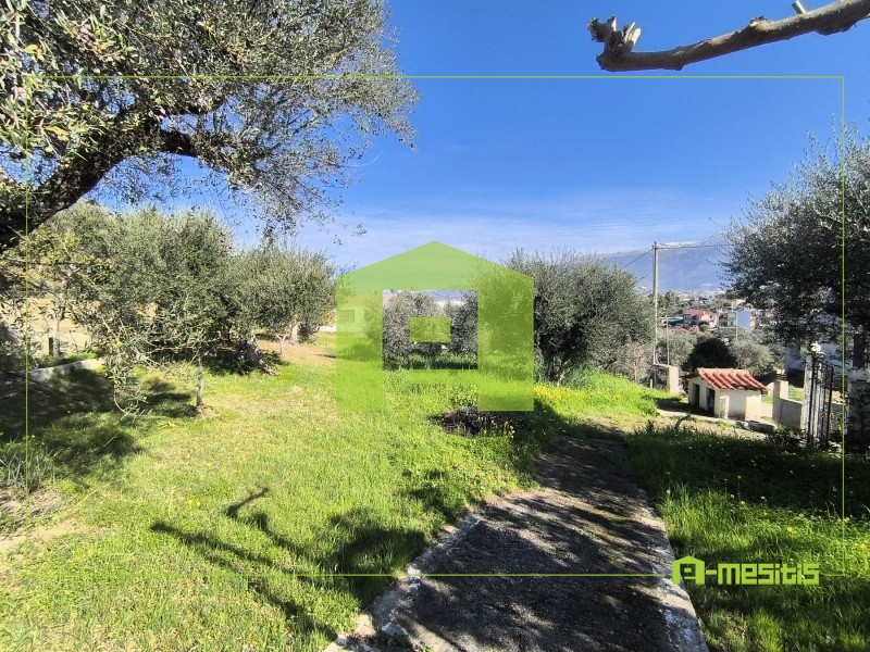 Οικόπεδο 520 τ.μ. προς πώληση, Μιντιλόγλι