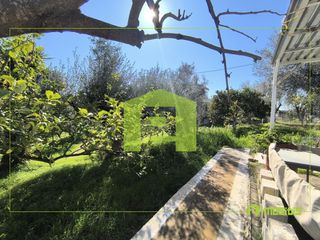 Οικόπεδο 520 τ.μ. προς πώληση, Μιντιλόγλι-thumb-4