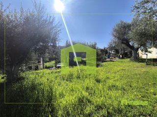 Οικόπεδο 520 τ.μ. προς πώληση, Μιντιλόγλι-thumb-9