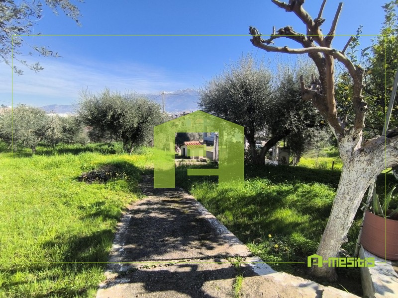 Οικόπεδο 520 τ.μ. προς πώληση, Μιντιλόγλι