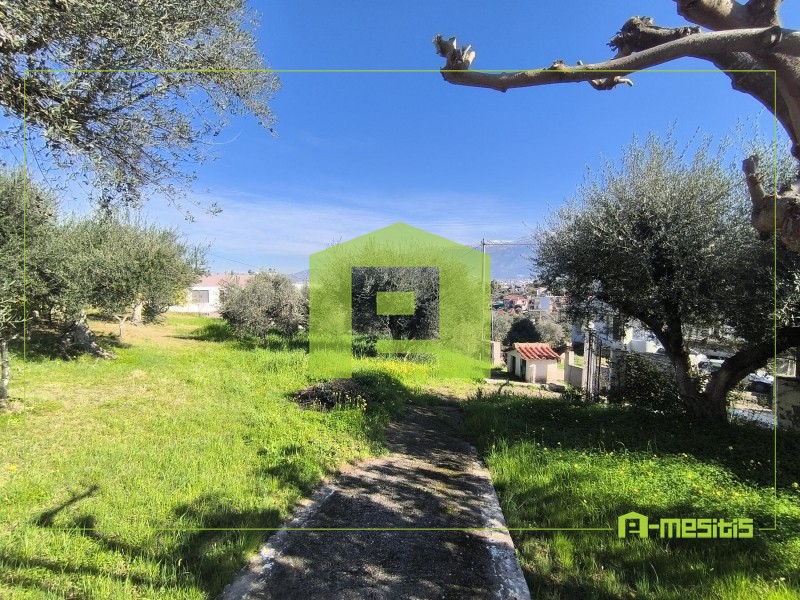 Οικόπεδο 520 τ.μ. προς πώληση, Μιντιλόγλι