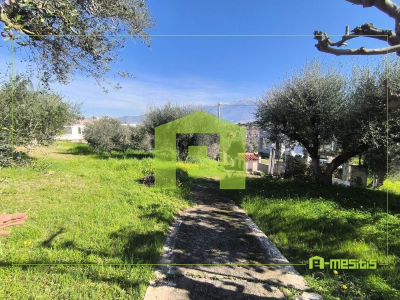 Οικόπεδο 520 τ.μ. προς πώληση, Μιντιλόγλι
