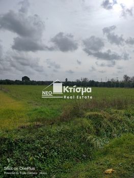 Οικόπεδο 3.121τ.μ. για πώληση-Ιαρδανός » Ξυλοκέρα