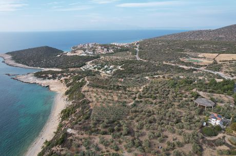 Αγροτεμάχια 2.000τ.μ. για πώληση-Θάσος » Μαριές