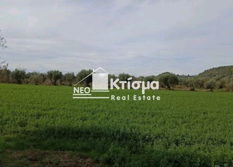 Οικόπεδο 470τ.μ. για πώληση-Πύργος » Γρανιτσαίικα