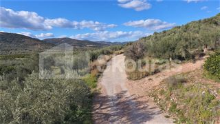Αγροτεμάχια 6.996 τ.μ. προς πώληση, Μυκήνες-thumb-9
