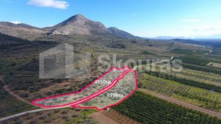 Αγροτεμάχια 6.996 τ.μ. προς πώληση, Μυκήνες-thumb-5