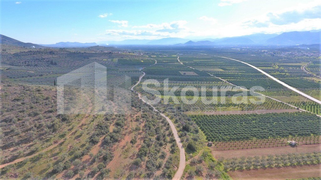 Αγροτεμάχια 6.996 τ.μ. προς πώληση, Μυκήνες