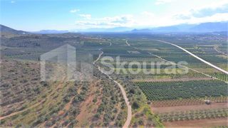 Αγροτεμάχια 6.996 τ.μ. προς πώληση, Μυκήνες-thumb-1