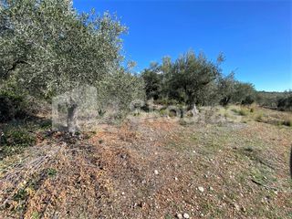 Αγροτεμάχια 6.996 τ.μ. προς πώληση, Μυκήνες-thumb-19