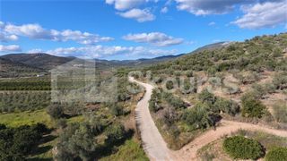 Αγροτεμάχια 6.996 τ.μ. προς πώληση, Μυκήνες-thumb-8